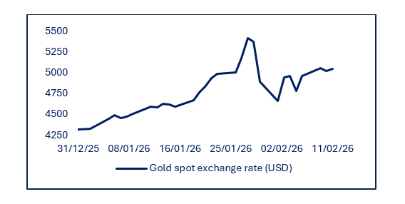 Lijnendiagram van de goudspotprijs in USD van 31 december 2025 tot 11 februari 2026, met fluctuaties tussen 4250 en 5500 USD.